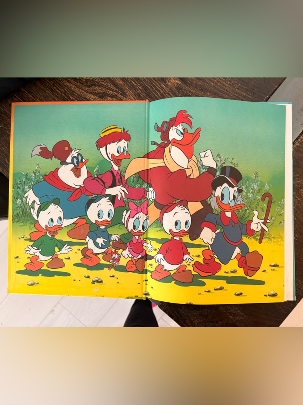 Disney DuckTales Hardcover – Teal Cover with Orange Illustration - Picture 3 of 5